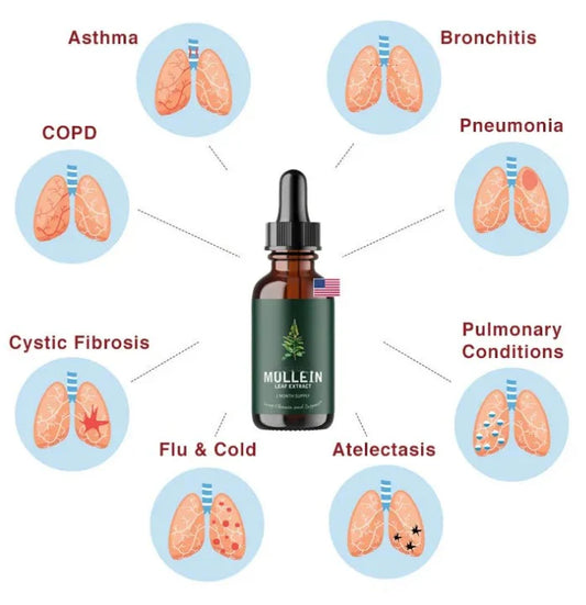 Mullein™ - Extracto de Gordolobo + Clorofila (Solución Definitiva Para Fumadores)